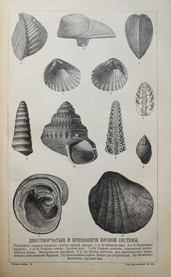 Неймайр М. История земли. [В 2 т.]. Т. 1-2. СПб., 1896.